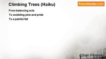 Ethan Petersen - Climbing Trees (Haiku)