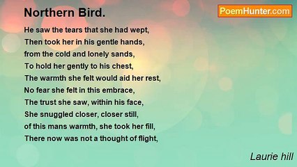 Laurie hill - Northern Bird.