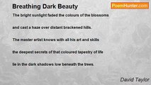 David Taylor - Breathing Dark Beauty