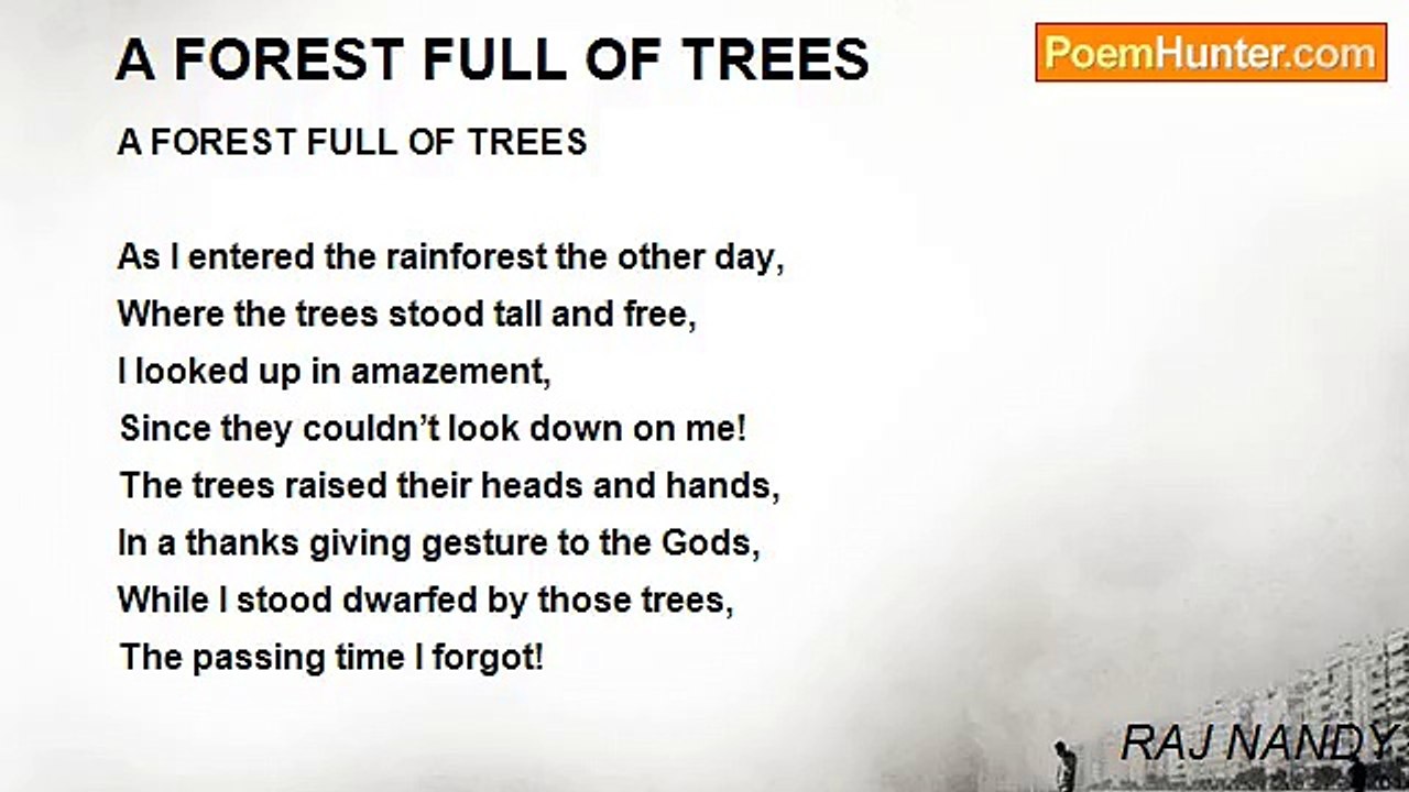 RAJ NANDY - A FOREST FULL OF TREES