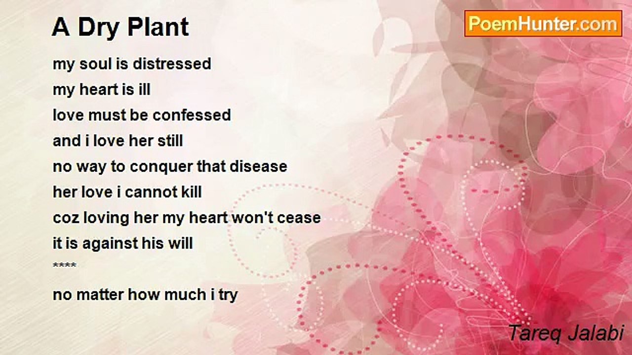 Tareq Jalabi - A Dry Plant