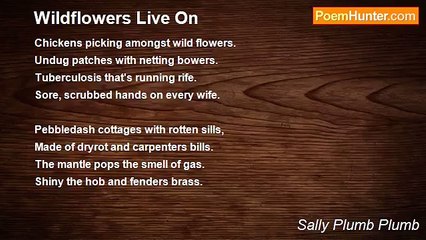 Sally Plumb Plumb - Wildflowers Live On