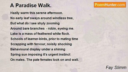 Fay Slimm - A Paradise Walk.