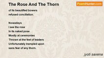 jyoti saxena - The Rose And The Thorn