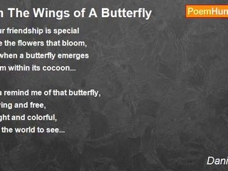 Daniel Peek - On The Wings of A Butterfly