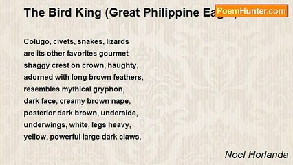 Noel Horlanda - The Bird King (Great Philippine Eagle)