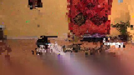 Yoga Basics - Shapeshifter Yoga