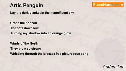Anders Lim - Artic Penguin