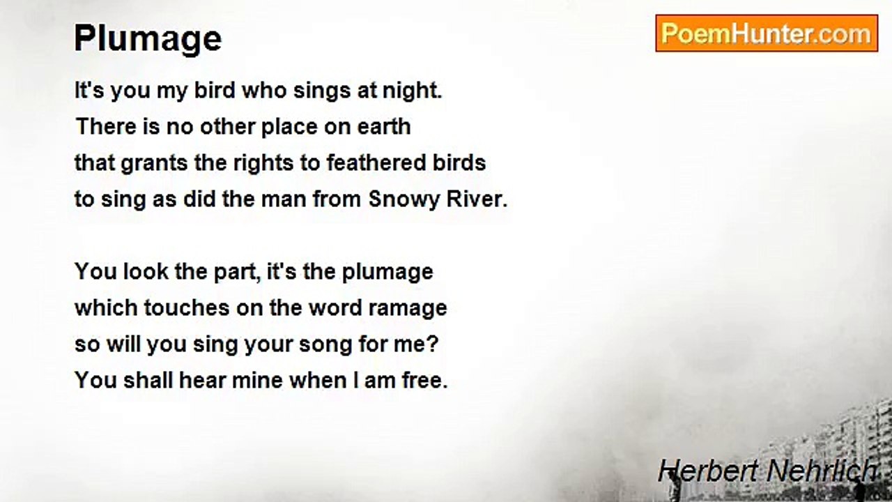 Herbert Nehrlich - Plumage