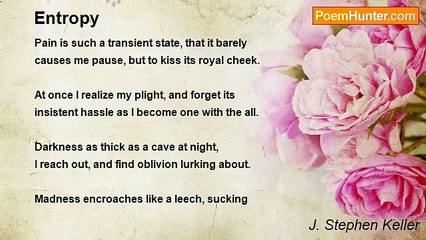 J. Stephen Keller - Entropy