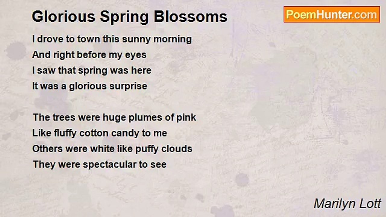 Marilyn Lott - Glorious Spring Blossoms