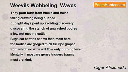 Cigar Aficionado - Weevils Wobbeling  Waves