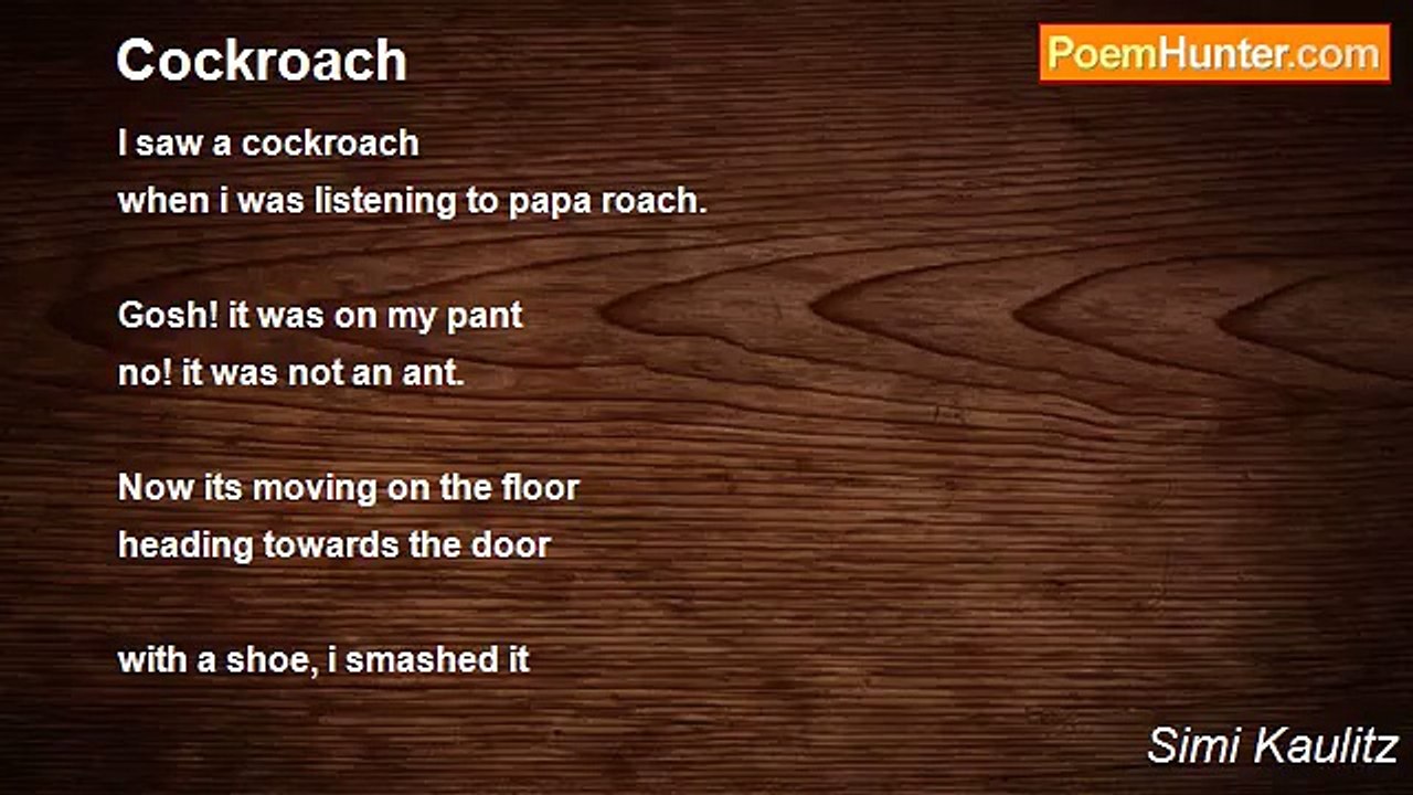 Simi Kaulitz - Cockroach
