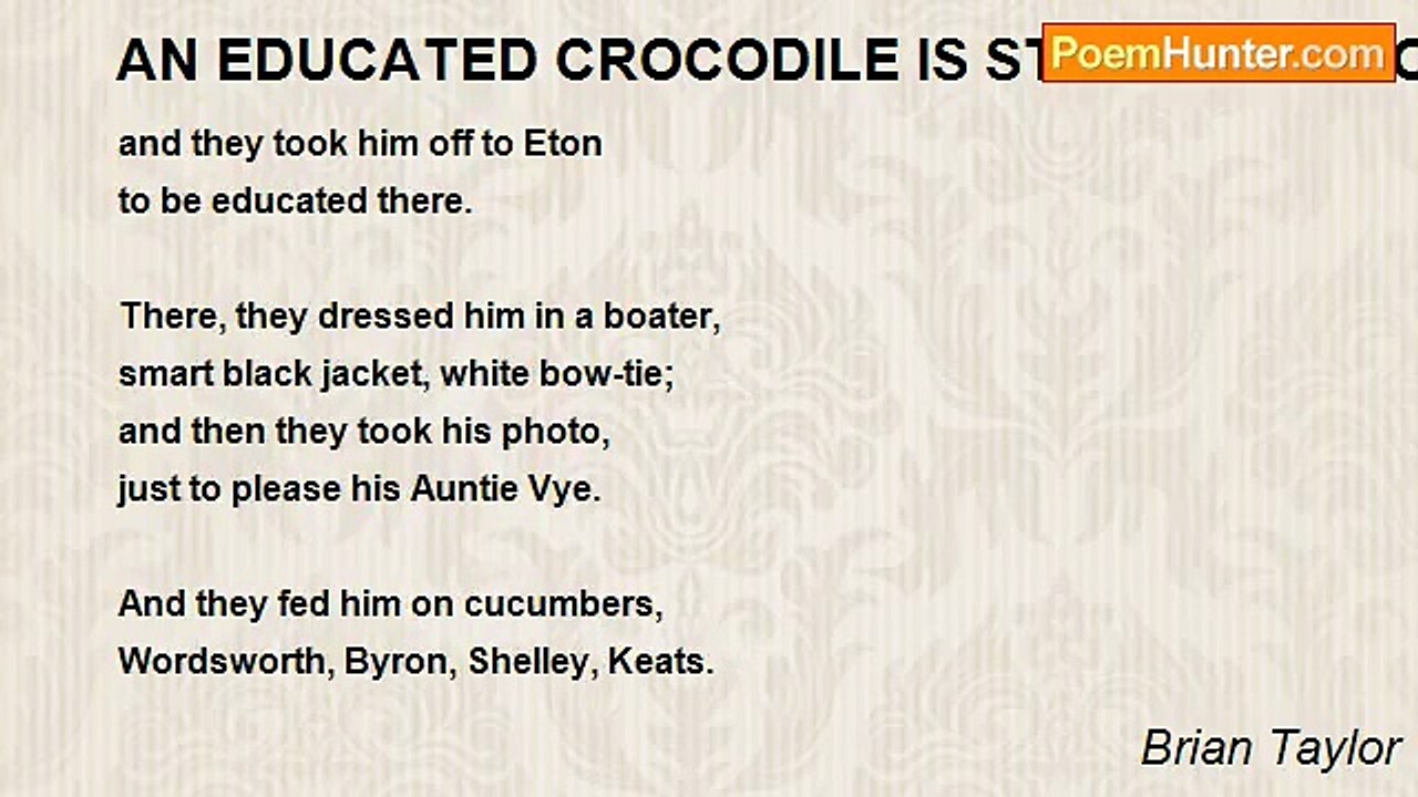 Brian Taylor - AN EDUCATED CROCODILE IS STILL A CROCODILE