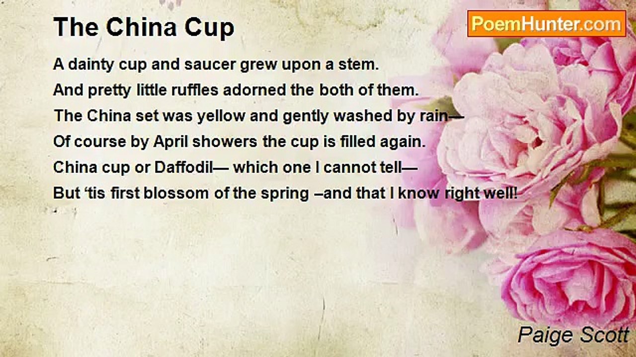 Paige Scott - The China Cup