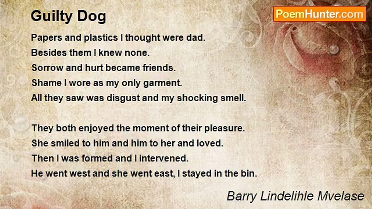 Barry Lindelihle Mvelase - Guilty Dog