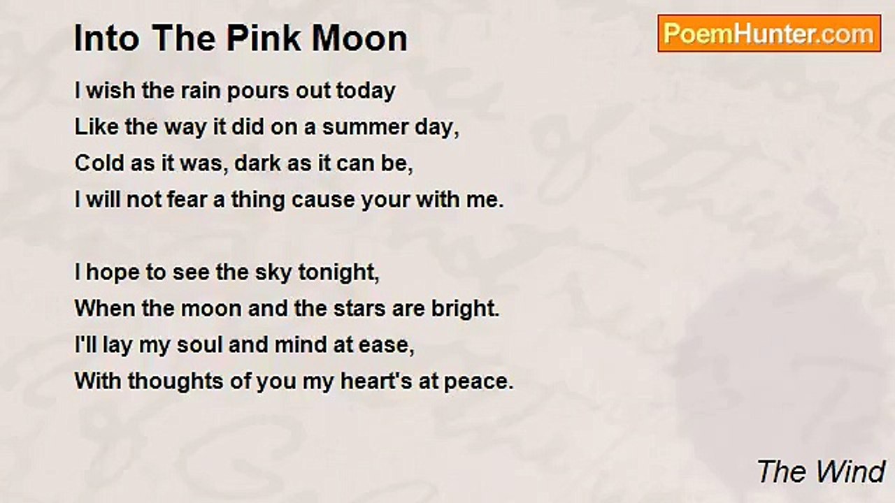 The Wind - Into The Pink Moon