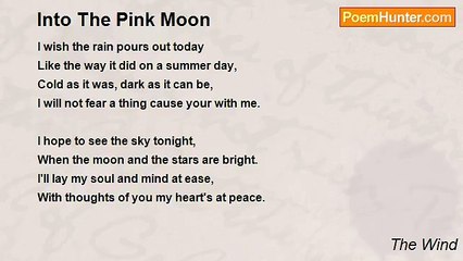 The Wind - Into The Pink Moon