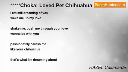 HAZEL Calumarde - *****Choka: Loved Pet Chihuahua