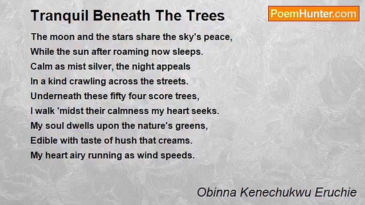 Obinna Kenechukwu Eruchie - Tranquil Beneath Th...