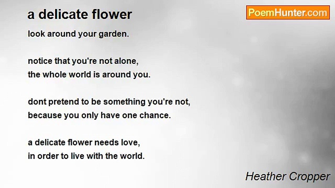 Heather Cropper - a delicate flower