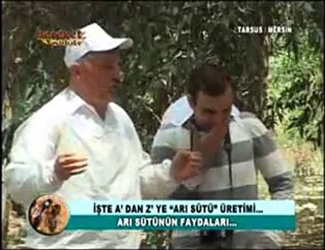 Arı Sütü - Arı Sütü (Royal jelly) Nedir Nasıl Üretilir- 17. Bölüm