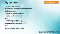 punsara amarasinghe - My journey
