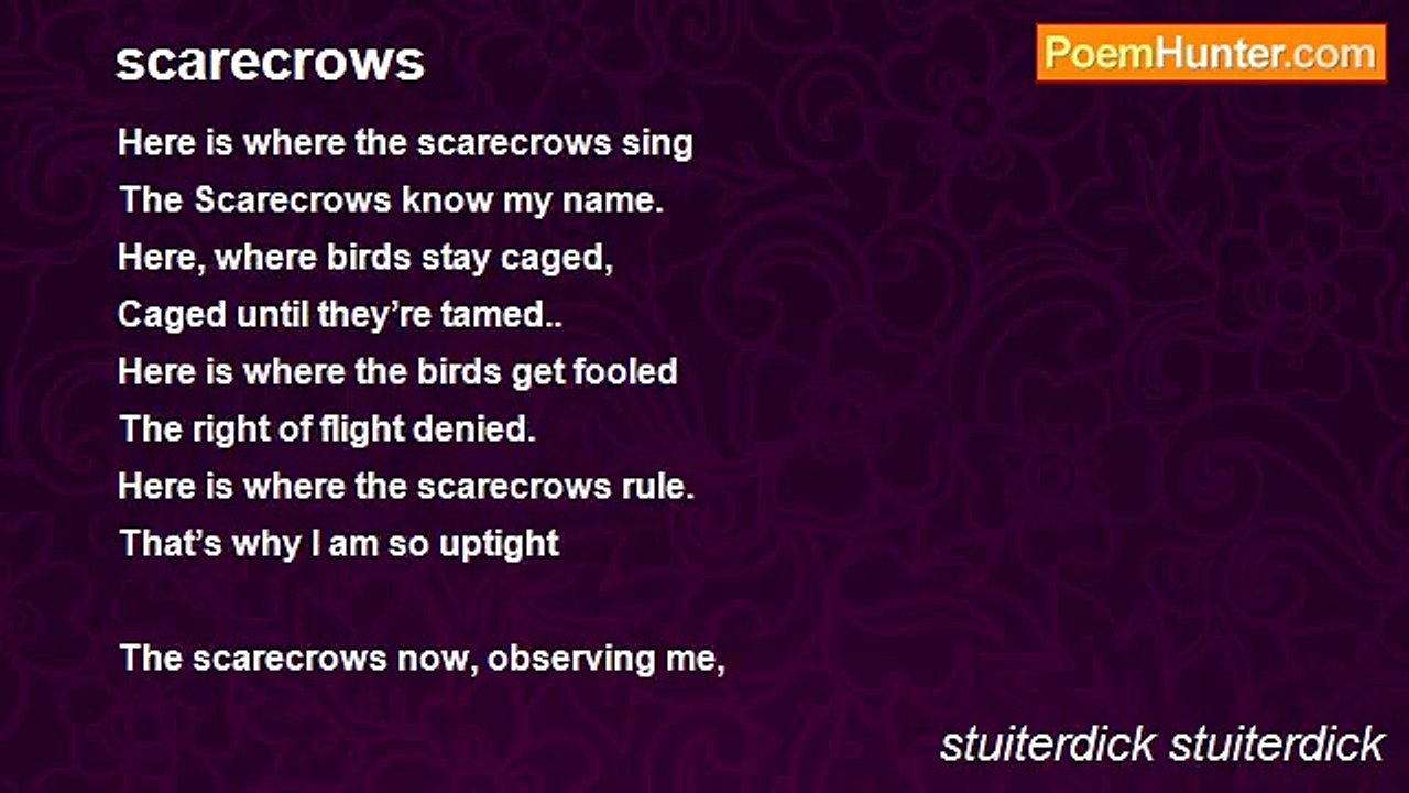 stuiterdick stuiterdick - scarecrows