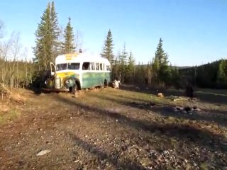 Damien Saez - Into the Wild