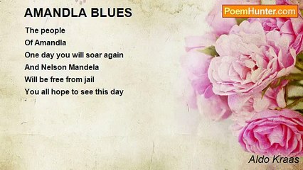 Aldo Kraas - AMANDLA BLUES