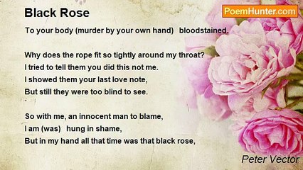 Peter Vector - Black Rose