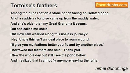 nimal dunuhinga - Tortoise's feathers