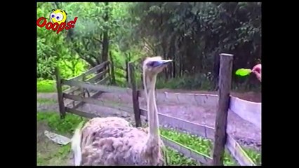 [+18 ~ Sexy Funny Girl]Pranks - Gags - Win - Fail.98