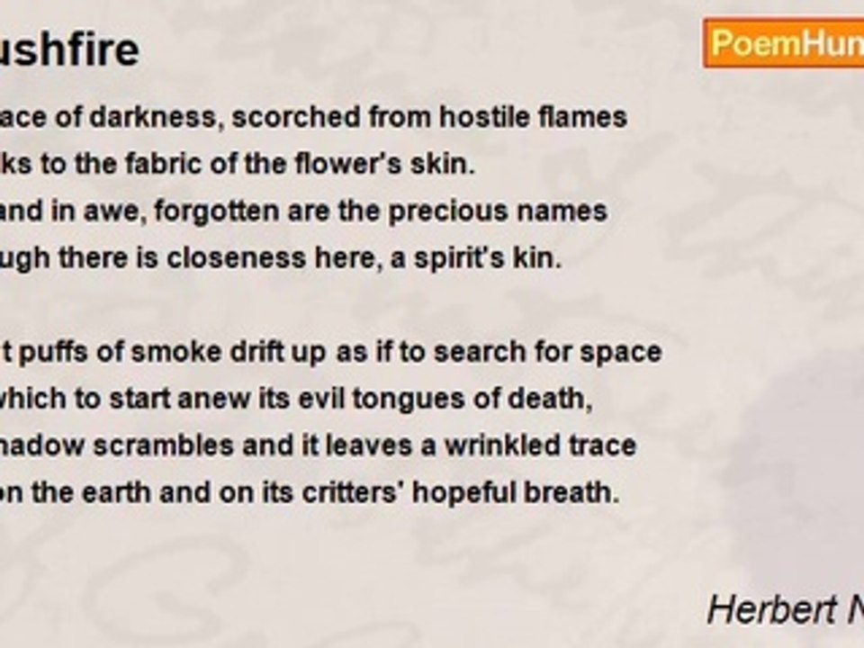 Herbert Nehrlich - Bushfire