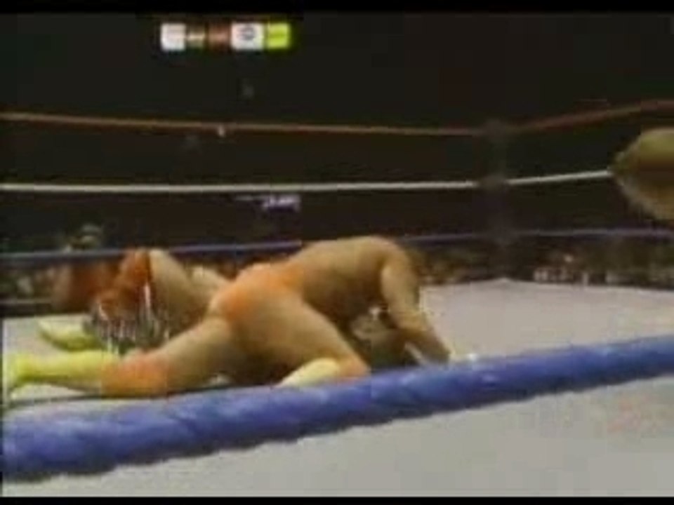Ultimate Warrior vs Randy Savage