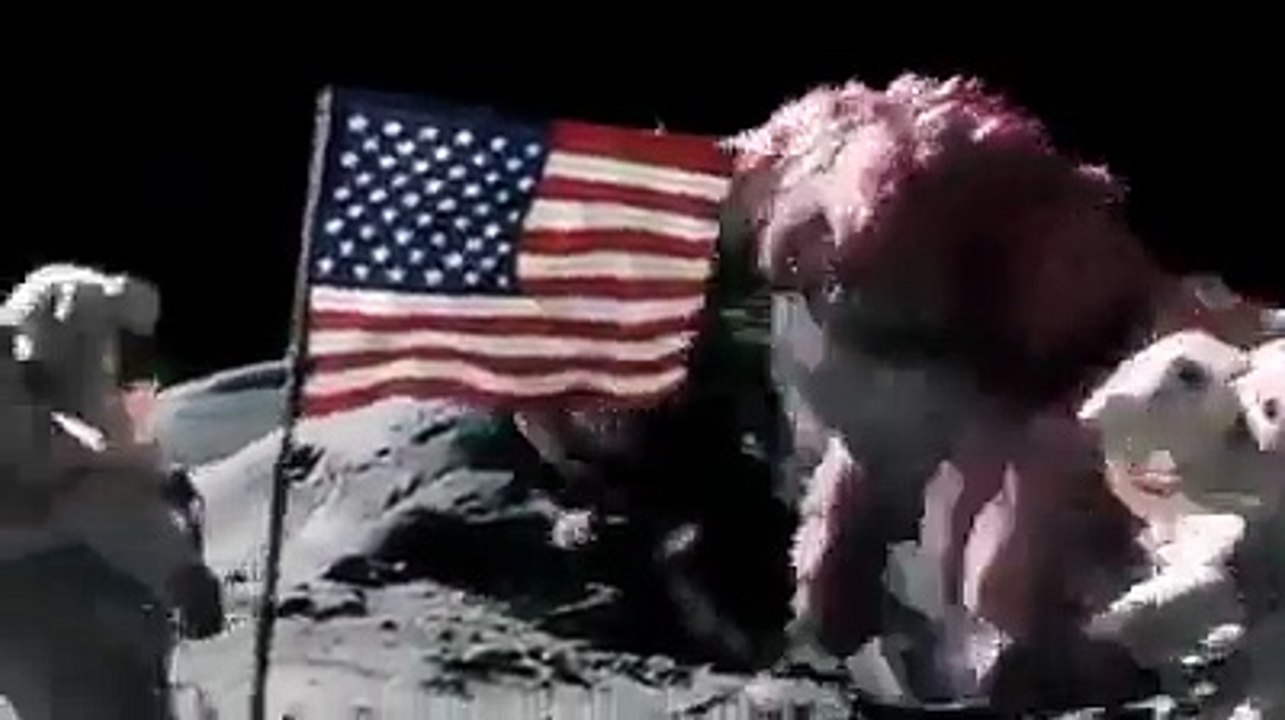 It is too much funn
