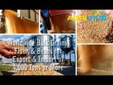 Purchase Bulk Soybeans for Export, Soybeans Exporting, Soybeans Exporters, Soybeans Exporter, Soybeans Exports