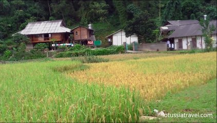 Video herunterladen: Vietnam Terraced Rice Paddy Fields, Yen Bai, Mu Cang Chai, Northwest Vietnamt