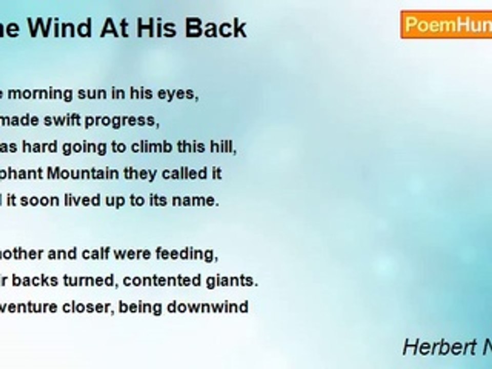 Herbert Nehrlich - The Wind At His Back
