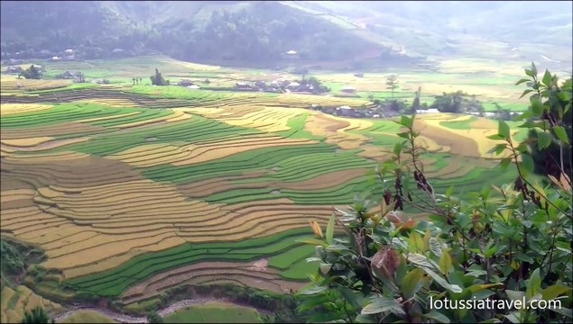 Vietnam terraced rice fields, Vietnam rice paddies pictures, Yen Bai, Northwest Vietnam