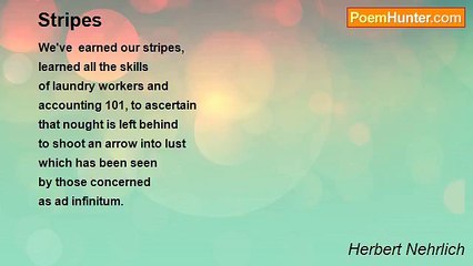 Herbert Nehrlich - Stripes