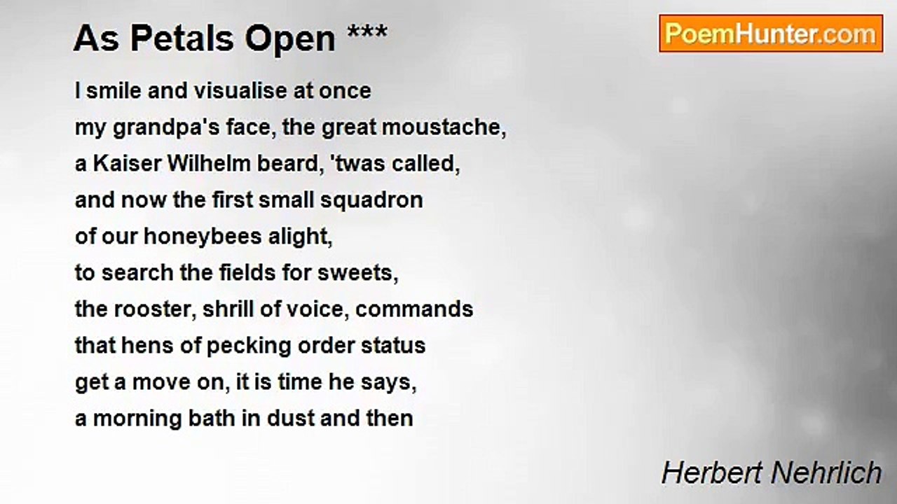 Herbert Nehrlich - As Petals Open ***