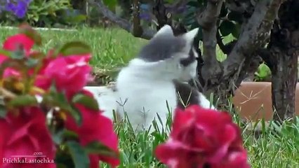 [+18 ~ Sexy Funny Girl]Pranks - Gags - Win - Fail.70