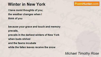 Michael Timothy Rose - Winter in New York