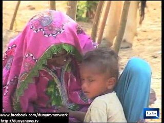 Dunya news-Death toll ascends to 42 in 40 days