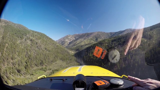 atterrissage d'un avion dans une forêt