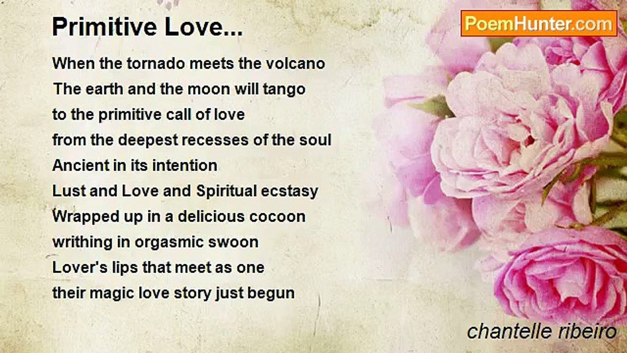 chantelle ribeiro - Primitive Love...