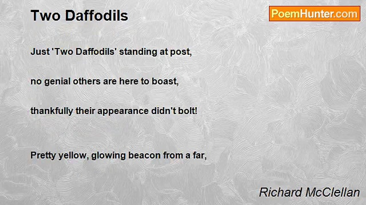 Richard McClellan - Two Daffodils