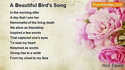 Rick Elpers - A Beautiful Bird's Song