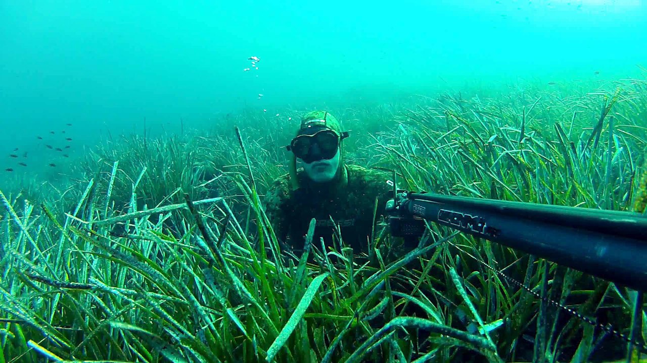 Chasse en Méditerranée